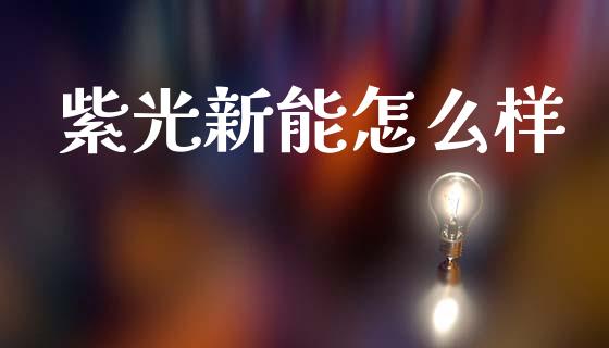 紫光新能怎么样_https://wap.15771688.com_期货手续费一览表_第1张