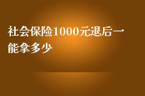社会保险1000元退后一能拿多少_https://wap.15771688.com_期货手续费一览表_第1张