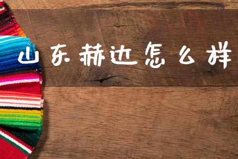 山东赫达怎么样_https://wap.15771688.com_国际期货_第1张