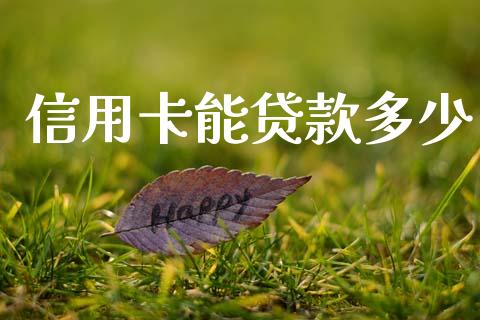 信用卡能贷款多少_https://wap.15771688.com_国际期货_第1张