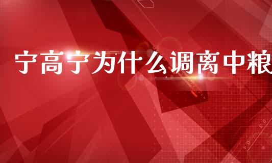 宁高宁为什么调离中粮_https://wap.15771688.com_期货手续费一览表_第1张
