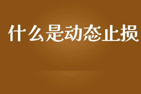 什么是动态止损_原油期货直播室_第1张_原油期货直播室_道指期_期货手续费一览表_国际期货 什么是动态止损_https://wap.15771688.com_原油期货直播室_第1张