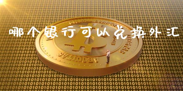 哪个银行可以兑换外汇_https://wap.15771688.com_道指期货_第1张
