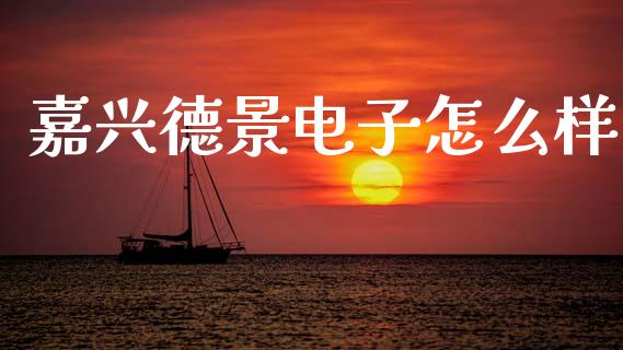 嘉兴德景电子怎么样_https://wap.15771688.com_国际期货_第1张