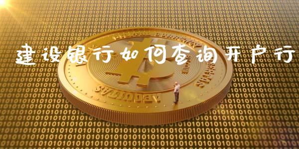 建设银行如何查询开户行_https://wap.15771688.com_期货手续费一览表_第1张