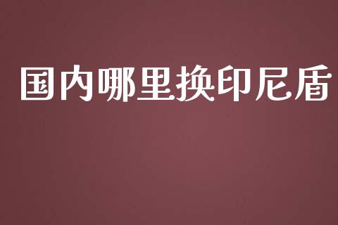 国内哪里换印尼盾_https://wap.15771688.com_道指期货_第1张