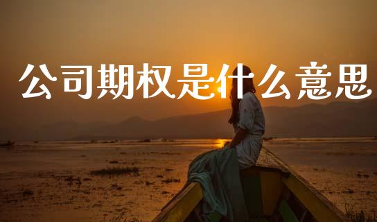 公司期权是什么意思_https://wap.15771688.com_国际期货_第1张