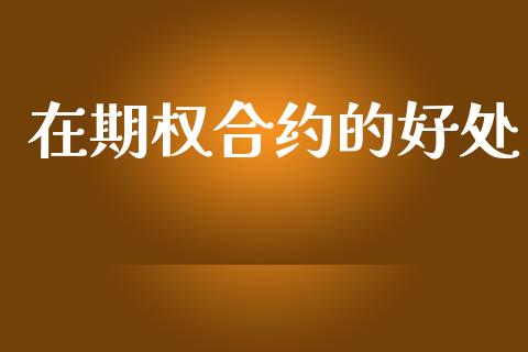 在期权合约的好处_https://wap.15771688.com_原油期货直播室_第1张