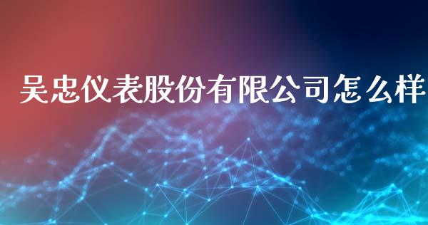 吴忠仪表股份有限公司怎么样_https://wap.15771688.com_原油期货直播室_第1张