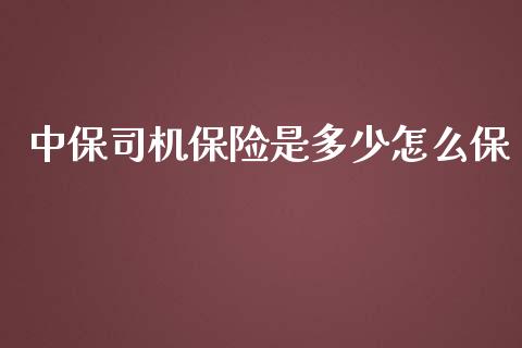 中保司机保险是多少怎么保_https://wap.15771688.com_期货手续费一览表_第1张