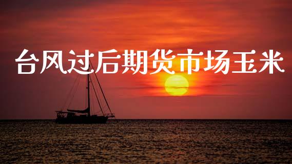 台风过后期货市场玉米_https://wap.15771688.com_原油期货直播室_第1张