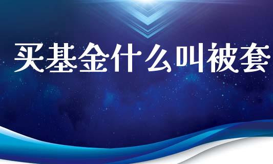买基金什么叫被套_https://wap.15771688.com_期货手续费一览表_第1张
