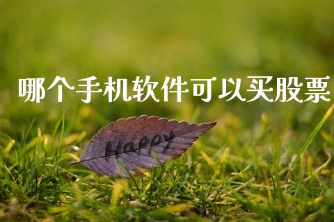 哪个手机软件可以买股票_https://wap.15771688.com_期货手续费一览表_第1张