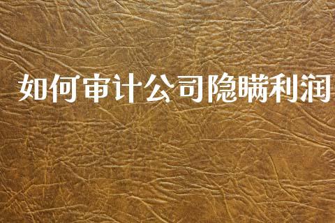 如何审计公司隐瞒利润_https://wap.15771688.com_期货手续费一览表_第1张
