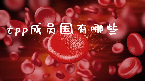 tpp成员国有哪些_https://wap.15771688.com_原油期货直播室_第1张