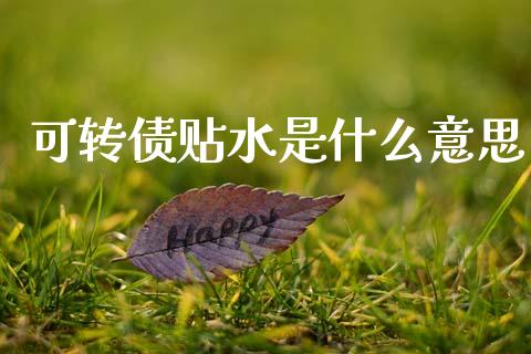 可转债贴水是什么意思_https://wap.15771688.com_道指期货_第1张