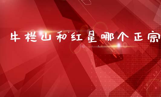 牛栏山和红星哪个正宗_https://wap.15771688.com_期货手续费一览表_第1张