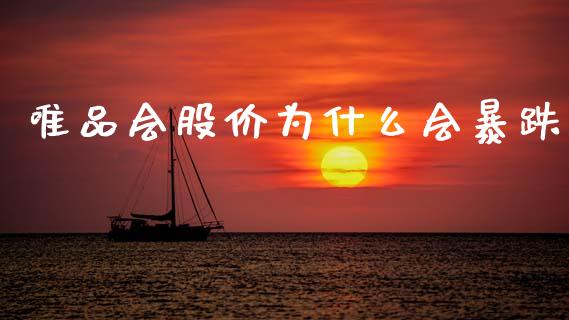 唯品会股价为什么会暴跌_https://wap.15771688.com_道指期货_第1张