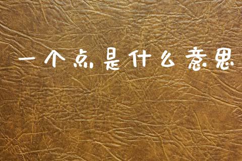 一个点是什么意思_https://wap.15771688.com_道指期货_第1张