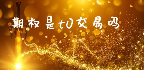 期权是t0交易吗_https://wap.15771688.com_期货手续费一览表_第1张