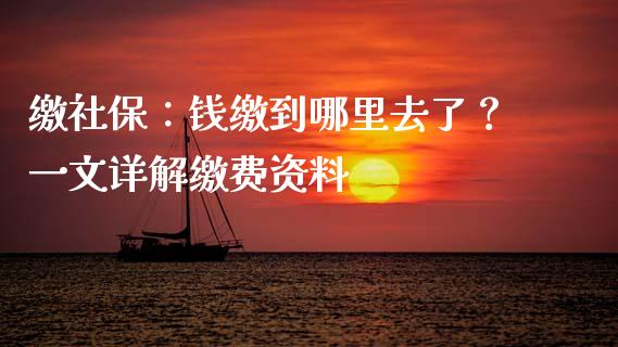 缴社保：钱缴到哪里去了？一文详解缴费资料_https://wap.15771688.com_期货手续费一览表_第1张
