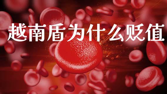 越南盾为什么贬值_https://wap.15771688.com_道指期货_第1张