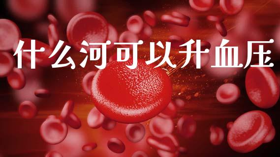 什么河可以升血压_https://wap.15771688.com_道指期货_第1张