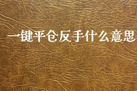 一键平仓反手什么意思_https://wap.15771688.com_道指期货_第1张