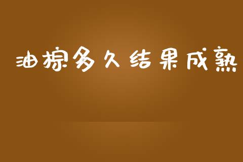 油棕多久结果成熟_https://wap.15771688.com_期货手续费一览表_第1张