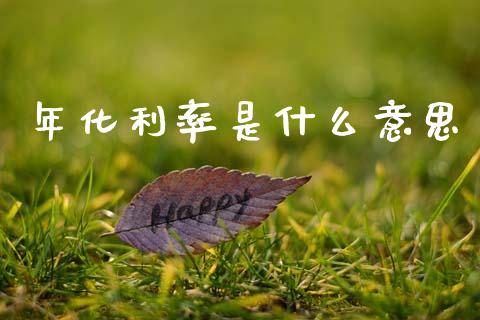 年化利率是什么意思_https://wap.15771688.com_原油期货直播室_第1张