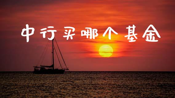 中行买哪个基金_https://wap.15771688.com_期货手续费一览表_第1张