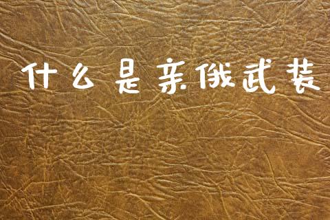 什么是亲俄武装_https://wap.15771688.com_原油期货直播室_第1张