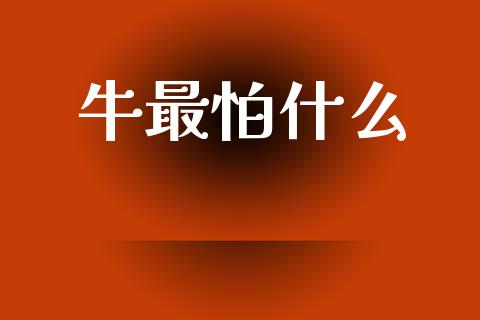 牛最怕什么_https://wap.15771688.com_道指期货_第1张