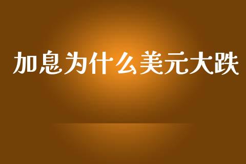 加息为什么美元大跌_https://wap.15771688.com_期货手续费一览表_第1张