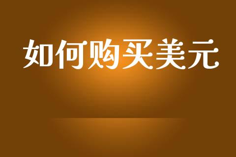 如何购买美元_https://wap.15771688.com_道指期货_第1张