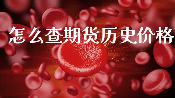 怎么查期货历史价格_https://wap.15771688.com_期货手续费一览表_第1张