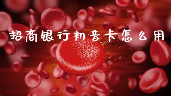 招商银行初音卡怎么用_https://wap.15771688.com_期货手续费一览表_第1张