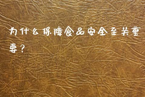 为什么保障食品安全至关重要？_https://wap.15771688.com_原油期货直播室_第1张