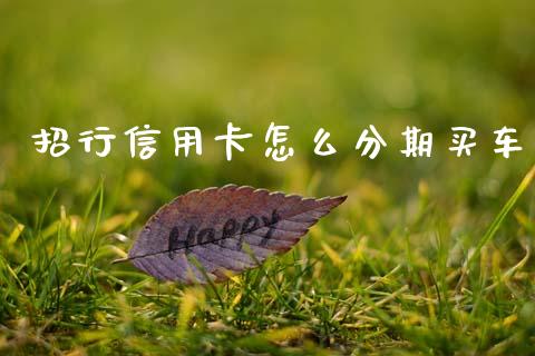 招行信用卡怎么分期买车_https://wap.15771688.com_道指期货_第1张