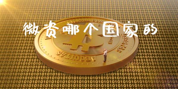 微资哪个国家的_https://wap.15771688.com_期货手续费一览表_第1张