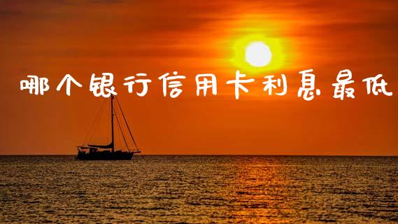 哪个银行信用卡利息最低_https://wap.15771688.com_道指期货_第1张