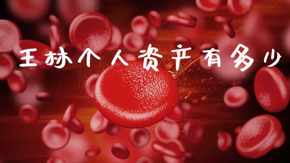 王林个人资产有多少_https://wap.15771688.com_道指期货_第1张