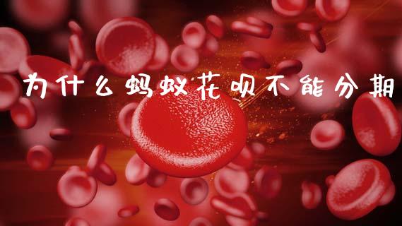为什么蚂蚁花呗不能分期_https://wap.15771688.com_原油期货直播室_第1张