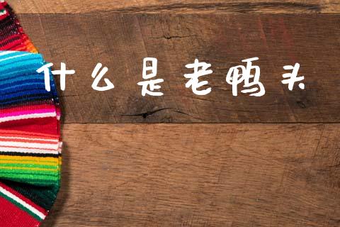 什么是老鸭头_https://wap.15771688.com_道指期货_第1张