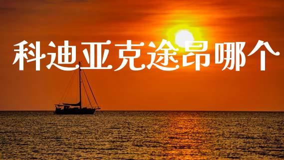 科迪亚克途昂哪个_https://wap.15771688.com_原油期货直播室_第1张