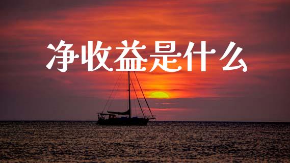 净收益是什么_https://wap.15771688.com_国际期货_第1张