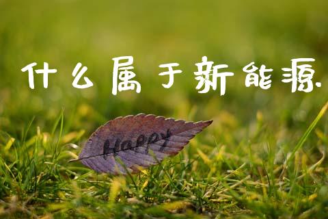 什么属于新能源_https://wap.15771688.com_期货手续费一览表_第1张