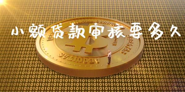 小额贷款审核要多久_https://wap.15771688.com_国际期货_第1张
