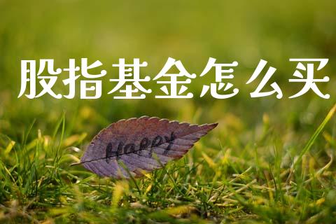 股指基金怎么买_https://wap.15771688.com_道指期货_第1张