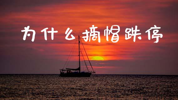 为什么摘帽跌停_https://wap.15771688.com_道指期货_第1张